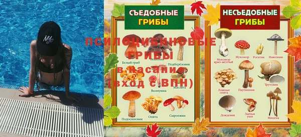 ешки Арсеньев