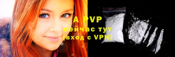 ешки Арсеньев