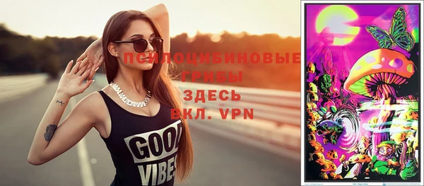 ГАЛЛЮЦИНОГЕННЫЕ ГРИБЫ Аркадак